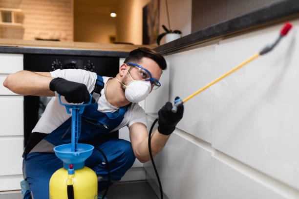 Best Residential Pest Control  in Missoula, MT