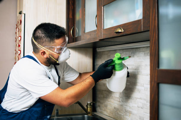 Best Pest Prevention Services  in Missoula, MT
