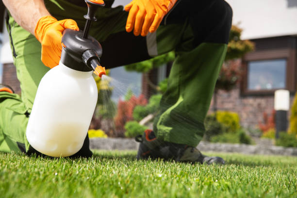 Best Flea Control Services  in Missoula, MT