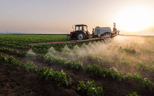Best Mosquito Control Services  in Missoula, MT