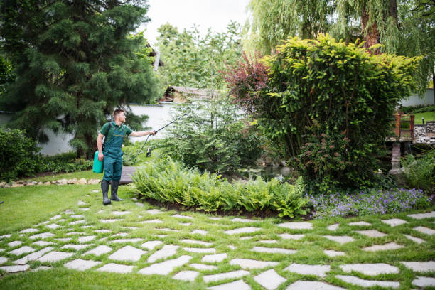 Best Pest Control Near Me  in Missoula, MT