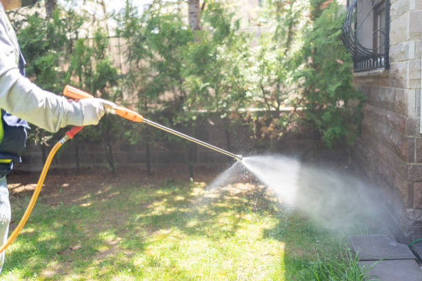 Pest Prevention Services in Missoula, MT