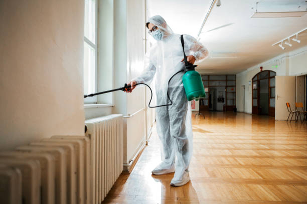 Best Ant Control Services  in Missoula, MT